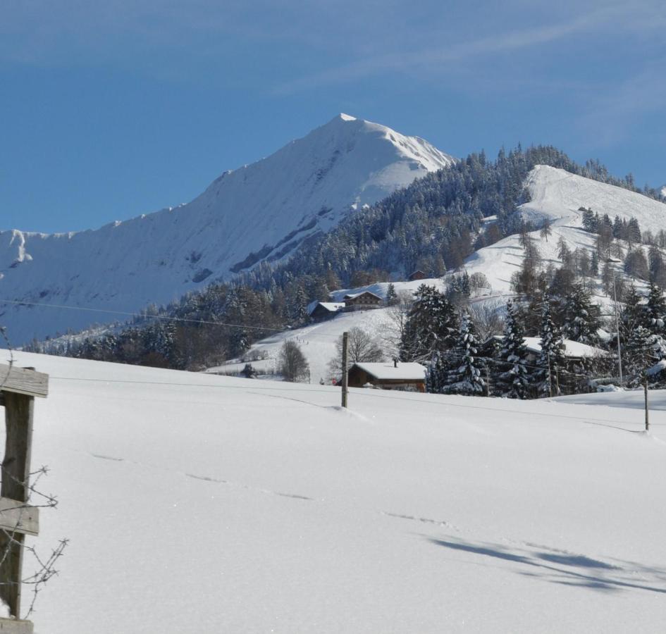 Ruhe Pur Apartamento Aeschi Bei Spiez Exterior foto